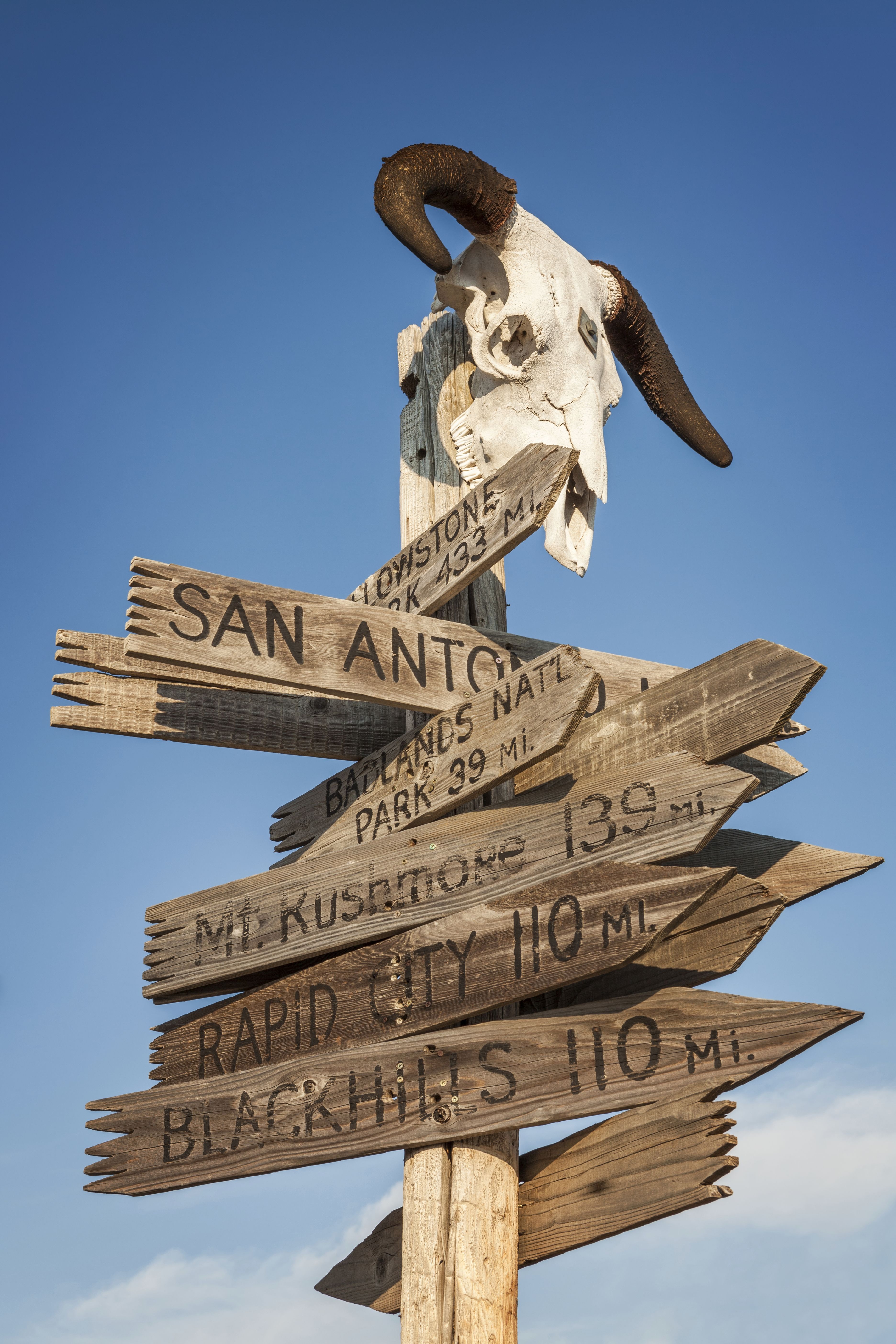 Un poste de madera curtido por el clima se alza contra el cielo azul, coronado por un cráneo de animal con cuernos. De él cuelgan numerosas señales hacia destinos como San Antonio, Yellowstone, el Parque Nacional Badlands, Mount Rushmore, Rapid City y las Black Hills, con letras legibles y distancias.
